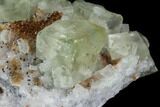 Lime-Green, Cubic Fluorite Crystal Cluster - Morocco #99005-2